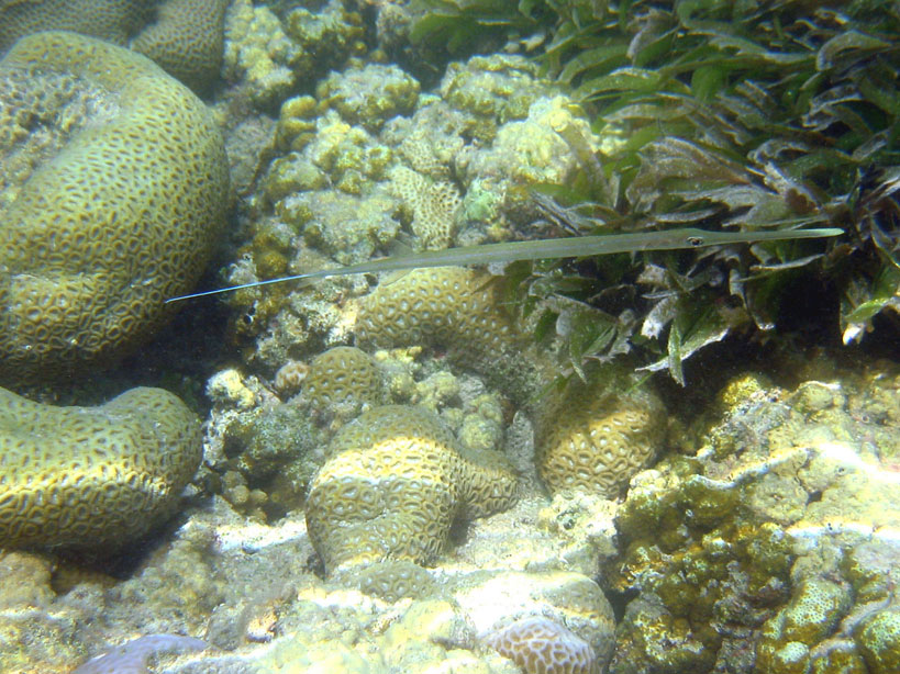 migliori-sey-05-01